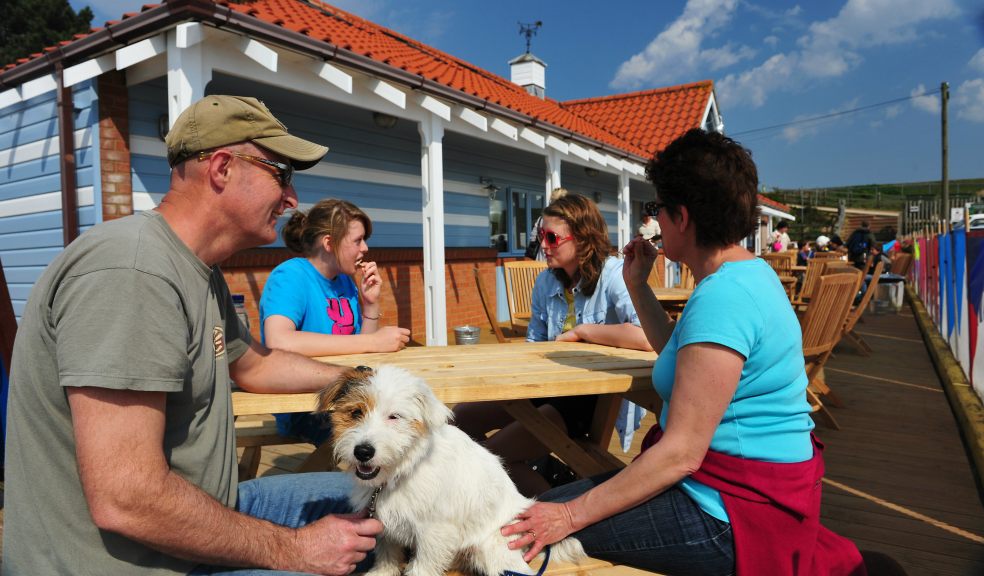 Search is on to find top dogfriendly businesses The